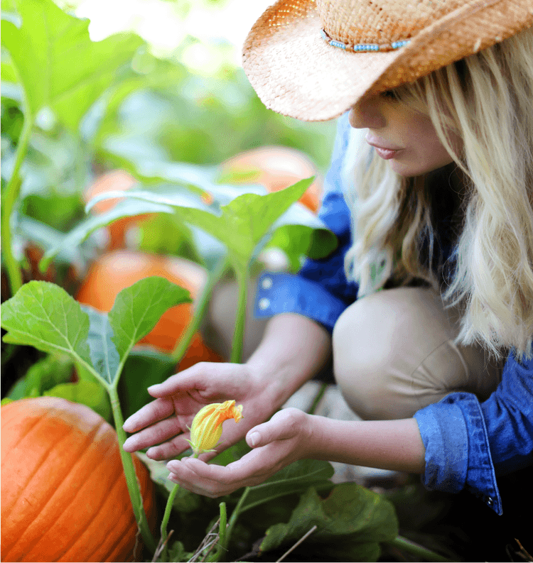 Sarah's Homegrown Produce'